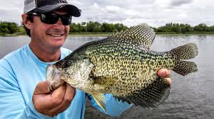 Al, however, has always worn many hats, and even his most avid fans may not realize the extent of his past and present involvement with all aspects of the fishing business. Summertime Crappies Angling Edge Tv Youtube
