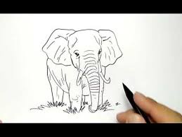 Maybe you would like to learn more about one of these? Cara Menggambar Anak Gajah Dengan Mudah How To Draw Elephant Kid Easy Youtube