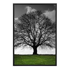 Simple edit with smart layers. Uniek Gallery Poster Frame Black 24 X 36 Buy Online In Angola At Angola Desertcart Com Productid 78000990