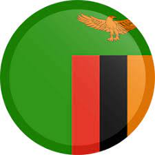 5 out of 5 stars. Zambia Flag Icon Country Flags