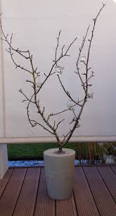 Ein Blog Mit Den Themen Wohnen Dekorieren Kreativ Sein Schones Daheim Haus Garten Basteln Leben Wohnbrise Lichterbaum Beton Projekte Beleuchtete Baume