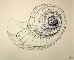 Maybe you would like to learn more about one of these? Line Drawing A Guide For Art Students Line Art Drawings Contour Drawing Contour Line Drawing