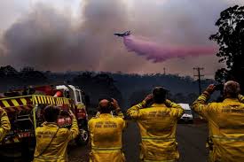 Beach themed christmas decorations australia fires map. Nsw Fires Australia S Black Summer Blazes Of Epic Proportions