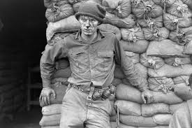 You start as an egg killer. Shell Shock Through The Wars Canada S History
