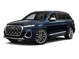 Image result for Waitomo Blue 2025 RS