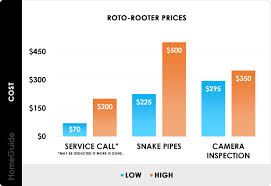 2021 cost to snake a drain plumber