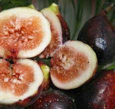 Unripe tastes like a wasted opportunity: How To Tell If A Fig Is Ripe A Picture Guide The Survival Gardener