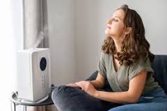 Resultado de imagen para Humidificador Indoor 6lts- Cornwall Electronics