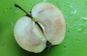 Hauptsächlich ist aber die witterung dafür verantwortlich, dass sich die quitten innen braun färben. Fleischbraune An Apfeln