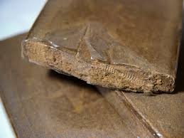 Moreover, we added the list of the most popular conversions for visualization and the history table with exchange rate diagram for 10 euro (eur) to russian ruble (rub) from saturday. Des Trafiquants De Drogue Lyonnais Tombent En Panne 430 Kg De Cannabis Saisis