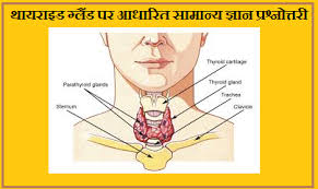 ดูทีวี thairath tv ออนไลน์ thairaththai live tv online. Gk Questions And Answers On Thyroid Gland