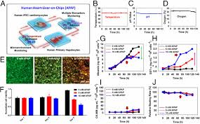 Method to increase the stability of the atmosphere (cooling the surface). Multisensor Integrated Organs On Chips Platform For Automated And Continual In Situ Monitoring Of Organoid Behaviors Pnas