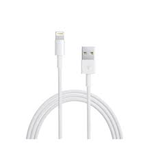 Apple Lightning To Usb Cable 0 5m Officeworks