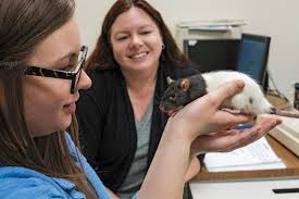 From Ew! to Awe ‹ Plymouth Magazine