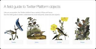 Masters of Product Change: Taylor Singletary