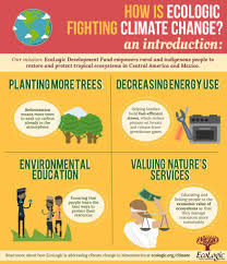 Burning fossil fuels to meet rising energy demand has pushed carbon dioxide emissions to a record high. Climate Change Solutions Infographic Ecologic Climate Change Infographic Climate Change Solutions Climate Change