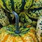 Bellevue Farmers Market event image