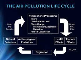 It has a hazardous effect on the natural world and on the activities of living beings. Environmental Health Concern Impacts Of Air Pollution On The Brain