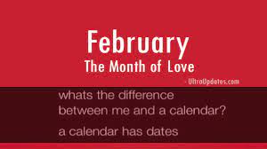 Whether you are single or in a relationship you will get a kick out of . 63 Funny Valentine S Day Quotes Sayings Images 2021