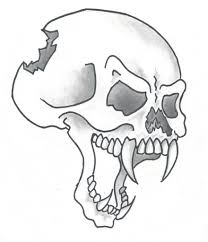 It is a vintage style tiki bar with some great modern tiki art on the walls. Simple Skull Drawing At Paintingvalley Com Explore Collection Of Simple Skull Drawing