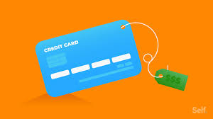 Check spelling or type a new query. What Are The Costs Involved In Using A Credit Card Self Credit Builder