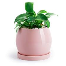Maybe you would like to learn more about one of these? Potey Ceramic Planter Flower Plant Pot 5 1 With Drain Hole Saucer Enough Space Modern Decorative For Indoor Planters Light Pink Wish