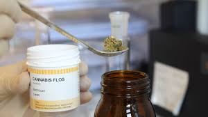 Medizinhalhanf Frankfurt Startet Cannabis Projekt Mit Apothekern
