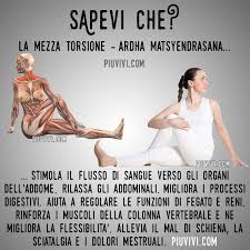 Ardha Matsyendrasana Mezza Posizione Di Matsyendra Esercizi Di Stretching Esercizi Esercizi Di Yoga
