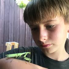 Has anyone figured out the ZeroHour Audible bug?