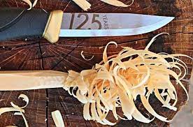 https encrypted tbn0 gstatic com images q tbn and9gcstoenvfecce5hjtlrytbakyjq9xgtbumcbftodoaaxkjjgsi0i usqp cau