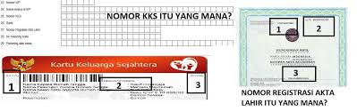 Dengan izajah anda dapat menemukan pekerjaan, mendapatkan pelatihan lebih lanjut dan meningkatkan kepemimpinan lebih jauh. Formulir Dapodik Pd Dan Ptk Excel Deuniv