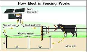 Wildlife experts agree that electric fencing is the best fence type to use for bear deterrence on electric fence is a great option for livestock owners who are looking to secure cattle, chickens. Winter Electric Fence Solutions On Pasture