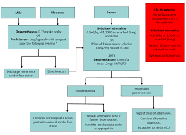 Pin On Guidelines