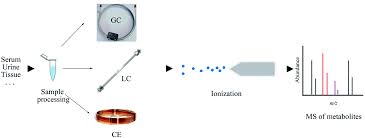 Advances In Mass Spectrometry Based Metabolomics For