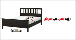 تفسير حلم الصراصير في المنام للعزباء و للمتزوجة لابن سيرين، الصراصير من الحشرات التي تُسبب الكثير من المشاكل للبعض حيث أنة ضار لا يحتوي على أي فوائد ويوجد منه أنواع كثيرة فمنها الذي يزحف على الأرض وهناك أيضاً أنواع تطير ولذلك يحرض الجميع على تنظيف. Ù…ÙŠÙ†Ø§Ø¡ Ø³Ø¹ÙŠØ¯ Ø§Ù„Ø­Ø¸ ÙŠØ­ÙˆÙ„ Ø¯ÙˆÙ† Ø§Ù„Ø¹Ø¬Ø² Ø¹Ù„Ù‰ Ø§Ù„Ø³Ø±ÙŠØ± ÙÙŠ Ø§Ù„Ù…Ù†Ø§Ù… Experiencementawai Com