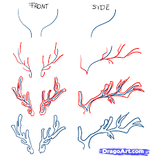 Free cliparts that you can download to you computer and use in your designs. How To Draw Deer Drawing Deer Step By Step Forest Animals Animals Free Online Drawing Tutorial Added By Mauac Deer Drawing Drawing Tutorial Easy Drawings