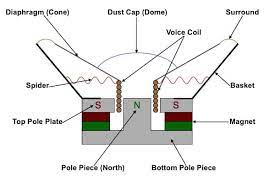 What Are Speaker Drivers? (How All Driver Types Work) – My New Microphone