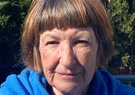 Isle of Wight Liberal Democrats announce final 2021 election candidates