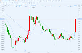 綠景(中國)地產– 白石洲在手，萬科做背書，綠景中國(00095.HK)穩 ...