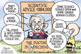Dan scavino, the white house deputy chief of staff for communications, posted a cartoon online that undermined dr. Dr Fauci