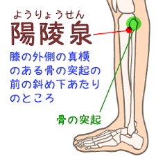筋肉の痛みに効くツボ | 夢源鍼灸治療院