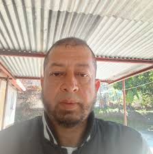 What is a healthier alternative to white bread for bunnies?