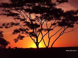 Resultado De Imagen Para Imagenes De 800x600 Pixeles Color Of Life Beautiful Nature Beautiful Sunset