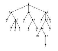 Making statements based on opinion; Help Regarding Trees In Discrete Mathematics Free Math Help Forum