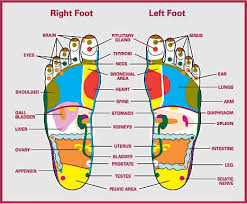 Reflexology Steps To Good Health