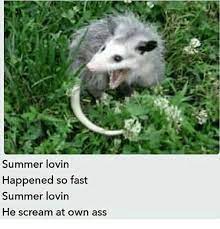 Summer Lovin Happened So Fast Summer Lovin He Scream At Own Ass Meme On Me Me
