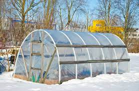 Using An Unheated Greenhouse – Can Plants Survive An Unheated Greenhouse In  Winter