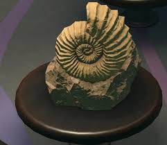 Кейт уинслет, сирша ронан и другие. Ammonite Animal Crossing Wiki Nookipedia