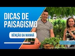 Você quer aprender a cuidar de plantas pendentes?