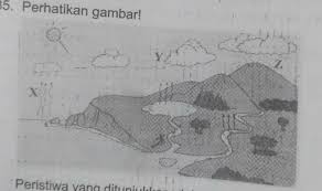Definisi dan pengertian dari evaporasi adalah peristiwa perubahan air atau es menjadi uap dan naik ke atmosfir, peristiwa tersebut berlangsung dari semua permukaan, misalnya. Peristiwa Yang Ditunjukkan Oleh Huruf X Y Dan Zsecara Berurutan Adalah A Presipitasi Brainly Co Id
